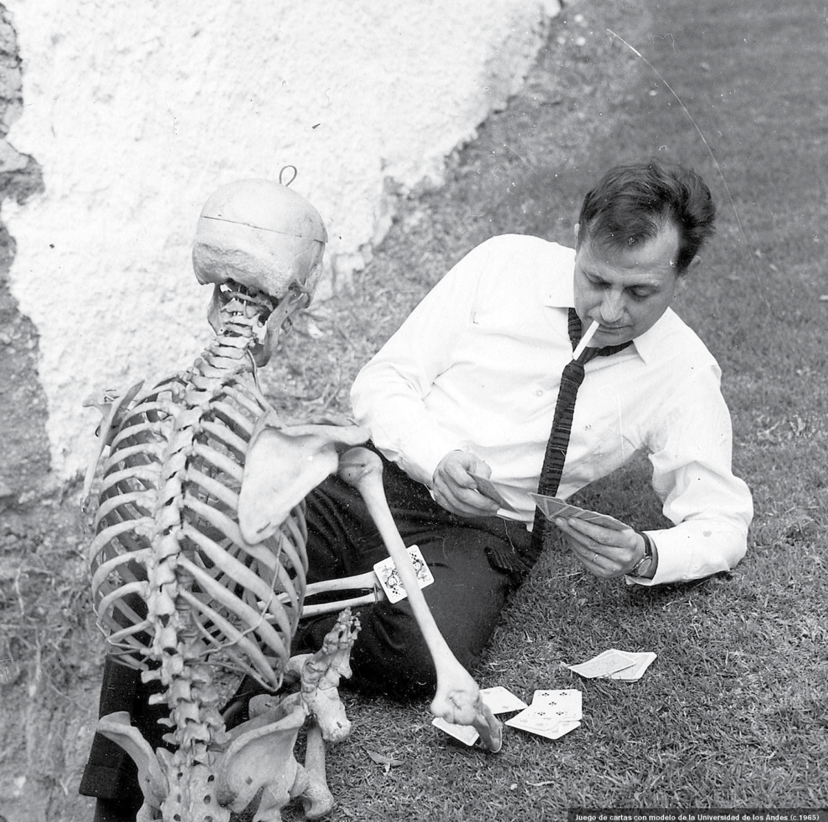 El triunfo de la inercia: una historia de la Escuela de Bellas Artes (1955-2023)